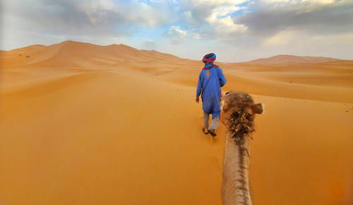 Indigo Turban In The Sahara