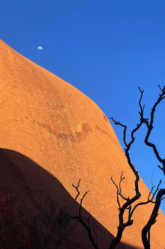Uluru Views