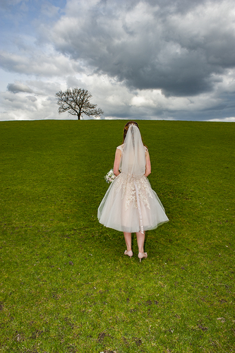 The Reluctant Bride, looking for a lost husband