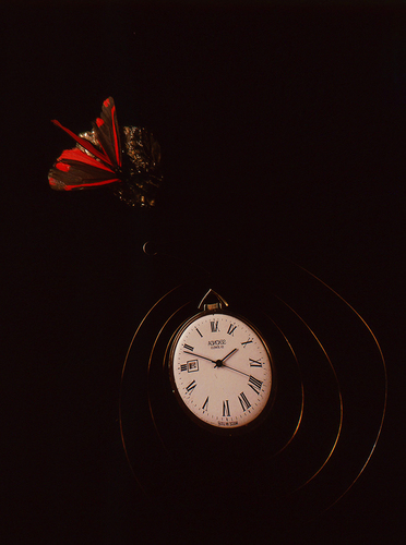 Papillon Rouge and Watch