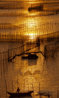 Ending Work Before the Sun Sets Color Awards Winners and Nominees