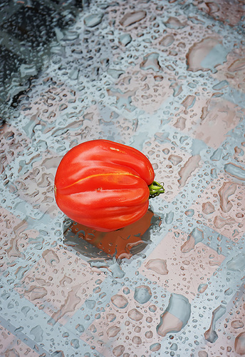Tuscan Tomato
