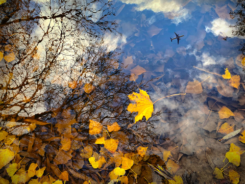 Autumn floating by