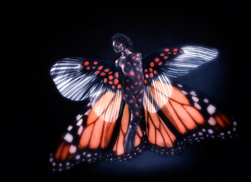 Ani-Human Butterfly 29