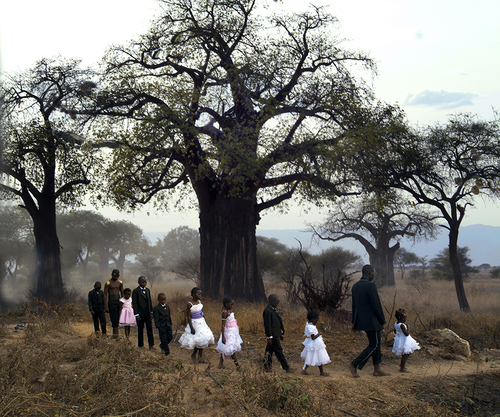The Procession under the Baobab Tree