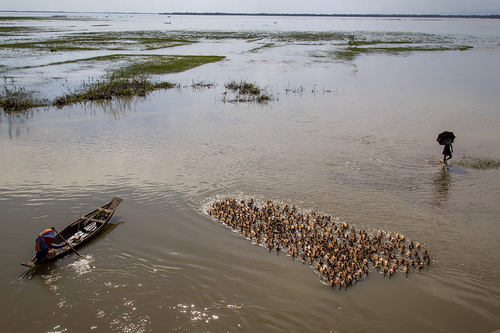 Colors are the Smiles of Nature Colors are the Smiles of Nature