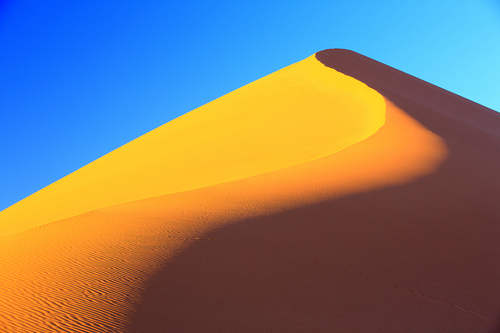 The Color of the Desert