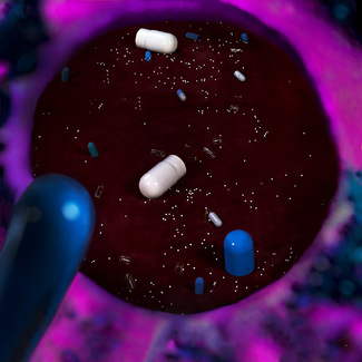 Galaxy Of Capsules Color Awards Winners and Nominees