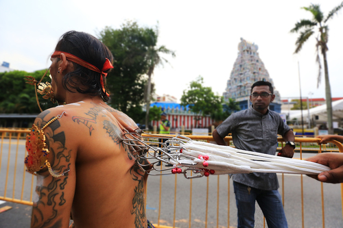 A worshipper with hooks in Thaipusam