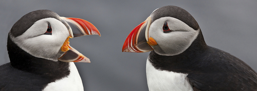 Discussion at the Bird Cliffs Discussion at the Bird Cliffs