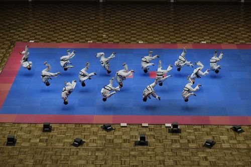 Taekwondo North Korea Style