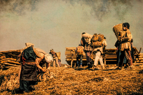 The Corn Harvesters