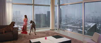 Rotterdam - Towerdogs Color Awards Winners and Nominees