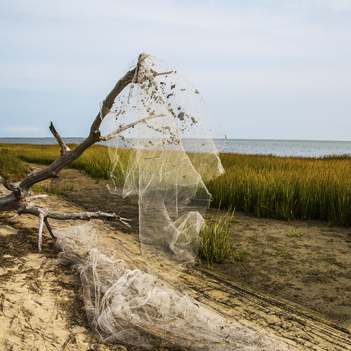 Fishnets in Marsh