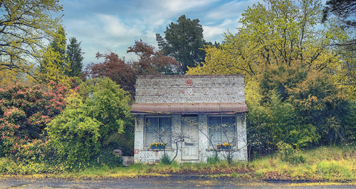 Abandoned Cottage