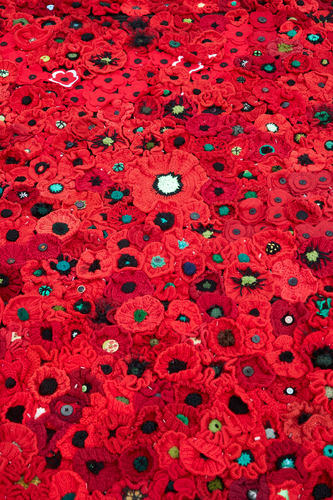 Hand knitted Poppies