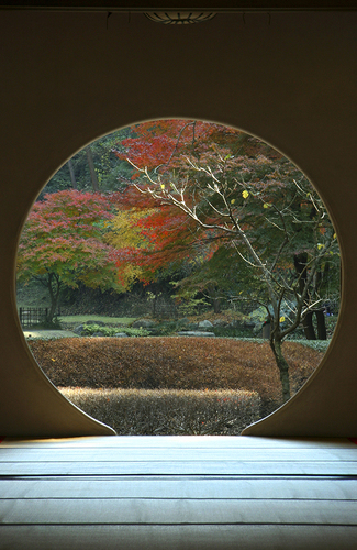 Meigetsuin Garden Kamakura