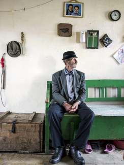 Ianos Sitting On Green Bench, Messendorf Color Awards Winners and Nominees