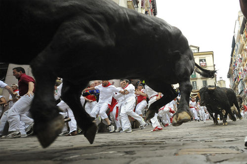 Fear Of The Bull Run