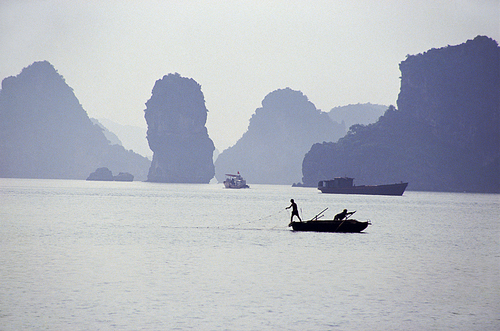 Casting the Net. Halong Bay, Vietnam