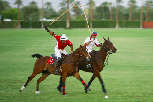 Exciting Polo Match