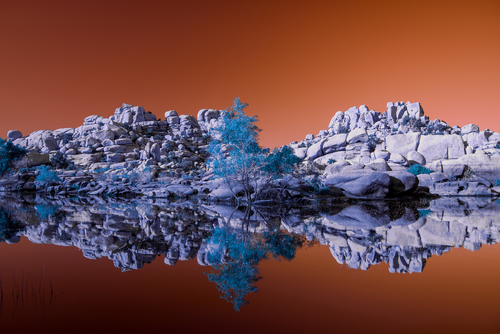 In Spring on Slender Pedestals In Spring on Slender Pedestals