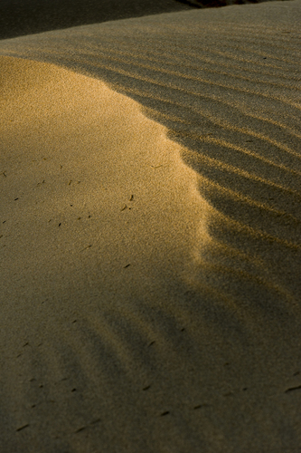 Dune Crescent