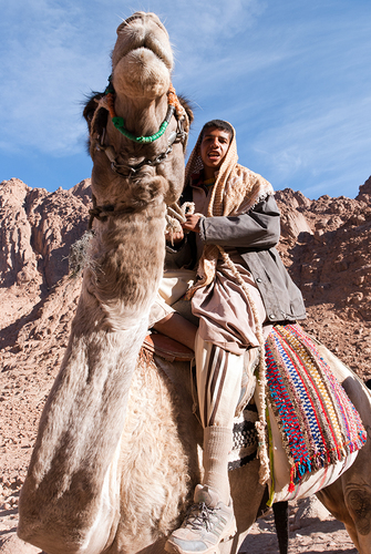 Jebelia bedouin