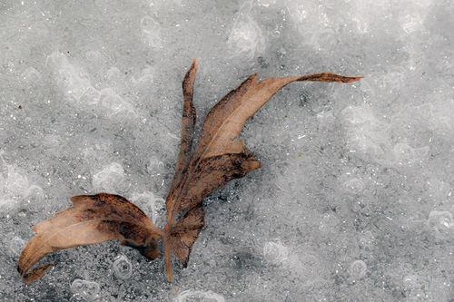 Winter motif
