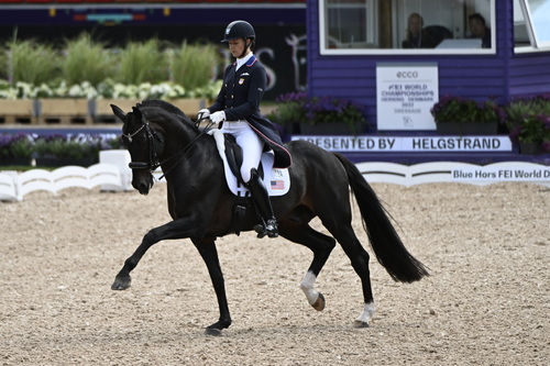 Dressage Elegance Personified