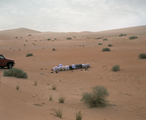 Desert praying