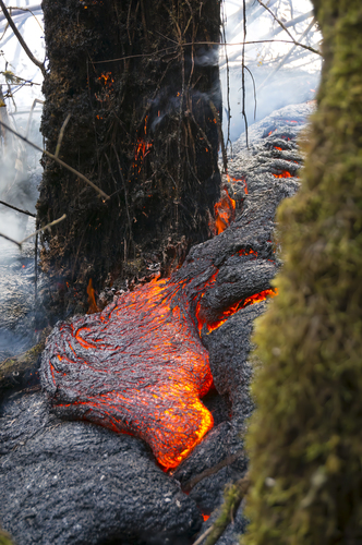 Seeing the lava through the trees