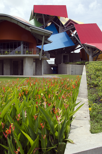 Biomuseo de Frank Gehry, Panama