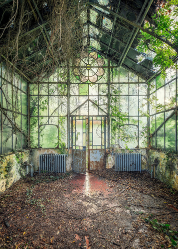 A sunny day at wintergarden A sunny day at wintergarden