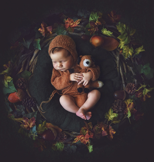 Little Sweet Fox Color Awards Winners and Nominees