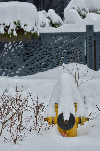 Don't Eat the Yellow Snow Don't Eat the Yellow Snow
