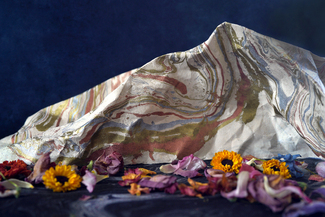 Paper Landscape Color Awards Winners and Nominees