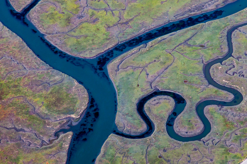 Pastoral River