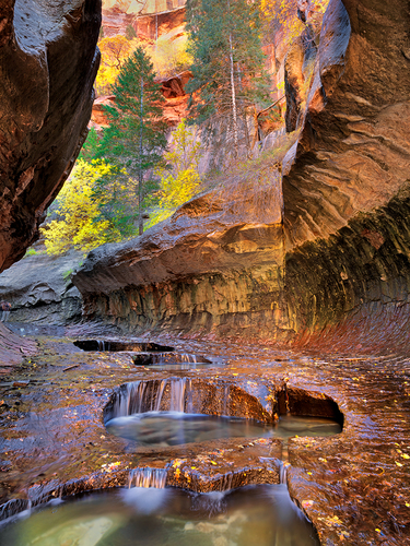 Enchanted Canyon in Autumn, Zion