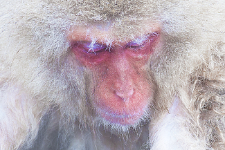 Blue Eye Lids Color Awards Winners and Nominees