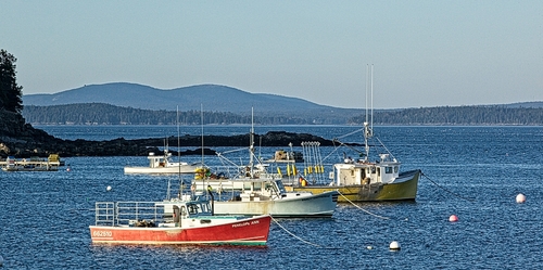 Lobster Boats