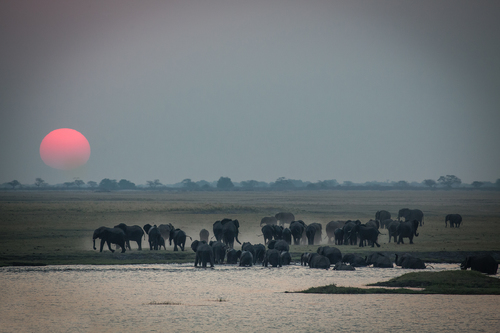 Dusk in Botswana
