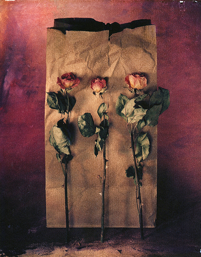 Roses on Brown bag
