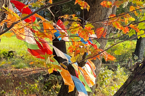 Prayer Flags Fly in the West