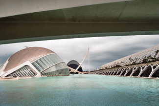 City of Arts and Sciences Color Awards Winners and Nominees
