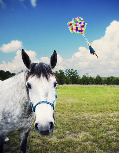 Horse Balloon Girl