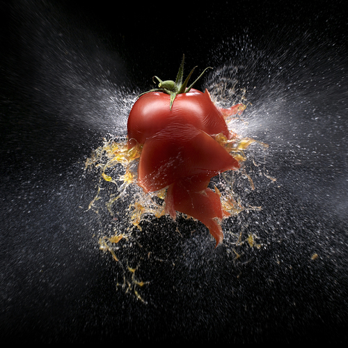 exploding tomato