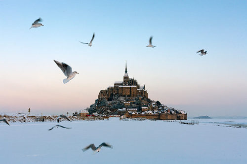 Snow and seagulls.