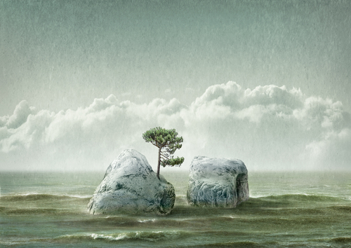 Two islands and a tree