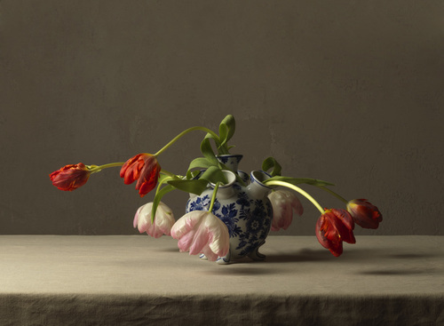 Tulips in Vase